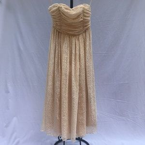 Gorgeous Champagne Strapless Cocktail dress